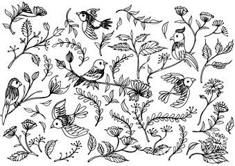 Hand Drawn floral ornaments with flowers and birds