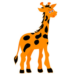 Obraz premium vector, isolated, giraffe character