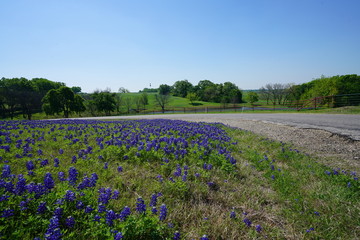 Countryside view of Bluebonnet Trails in North Texas