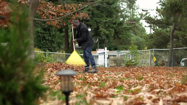 Mid adult man raking leaves in domestic garden, panning right. 