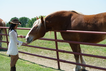 Woman feeding a horse in rural north Texas