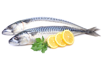 Fish mackerel