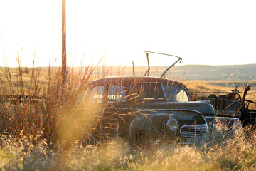 Plymouth in the Fields