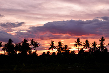 Fototapeta na wymiar Silhouette of coconut trees with beautiful sky before sunset,Photos back - light at the horizon began to turn orange with purple and pink cloud 