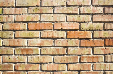 brick wall, perfect as a background