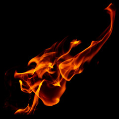 Fototapeta premium Red flame of fire on a black background