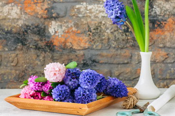 Bouquet of different colors hyacinth flowers on a wooden board. Flower shop concept.