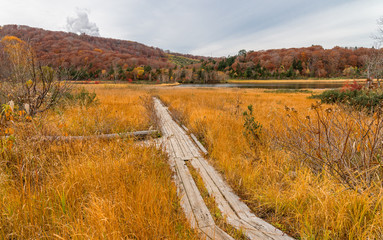 Fototapeta premium Onuma pond in Hachimantai mountain area during autumn season.