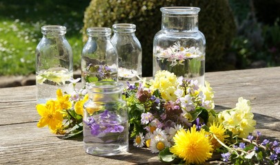 Heilkräuter Tinktur, Kräutermedizin, natürlich heilen