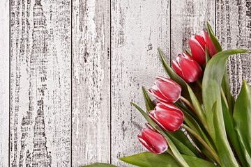 Bunch of tulips on wooden background. Tulips flower background