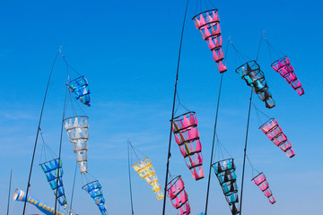 Manches à air / Berck-sur-mer - Festival du cerf volant