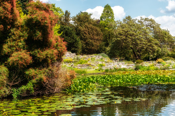 Landscape over the lake 