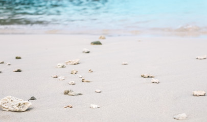 white sand on the beach