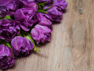 Spring tulip flowers