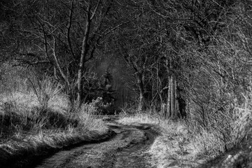 The path to the unknown in black and white photography