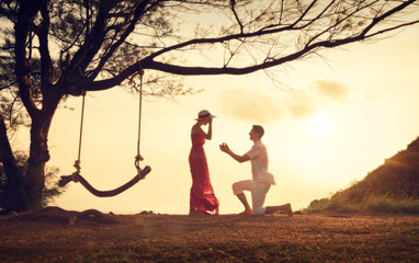 The guy makes an offer to the girl at sunset. A swing on the tree. A pair of lovers. Love.
