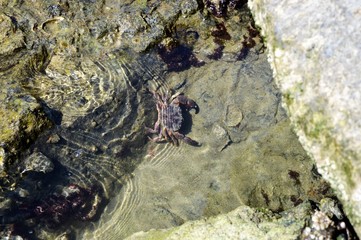 scogli natura  e paesaggi 