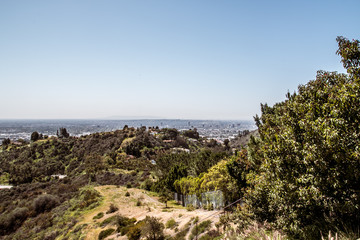 Mountain slope covered with coniferous trees