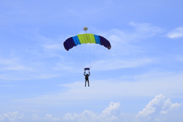 fly like a bird
