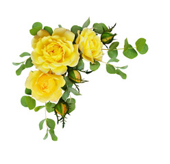 Fototapeta premium Żółta róża kwiaty z liśćmi eukaliptusa
