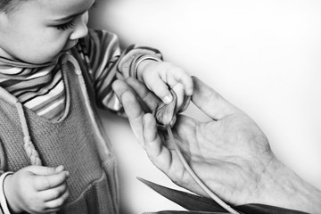 Black and white photo of father giving flower to small daughter on white background