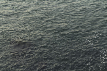waves and ripples