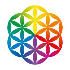 Rainbow colored half of a Flower of Life. Geometrical figure composed of multiple overlapping circles, forming a flower like pattern with symmetrical hexagon structure. Illustration over white. Vector