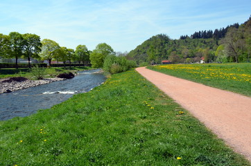 Dreisamuferweg im Frühling