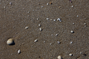 Fototapeta na wymiar spiaggia