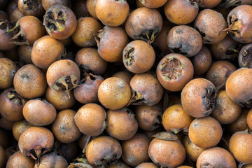 Freshly picked up medlar fruit species mespilus germanica in box