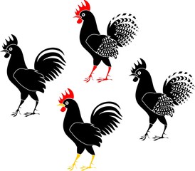 Set of black roosters on white background