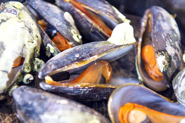 A Boiled wing shell fresh and yummy