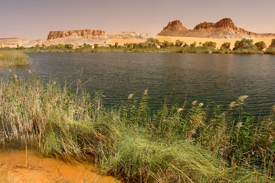 Fresh Water Lake Bokou in Ouniaga Serir series of lakes in the Sahara Desert, Chad
