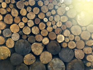 Cut wood laying in a stack on sunny day, background
