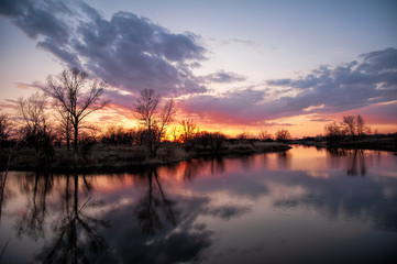 Obraz premium River during the sunset quietly flowing flows through the spring forest in early April