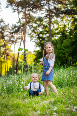 Naklejka na ściany i meble little brother and the sister sit on a glade with fluffy white dandelions