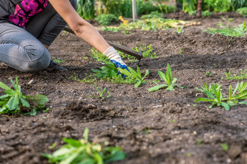 Woman working at garden.