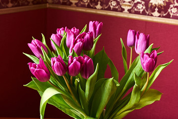 A lilac tulip bud. Macro/Unopened lilac tulip bud close-up. Russia, Moscow, holiday, gift, mood, nature, flower, plant, bouquet, macro