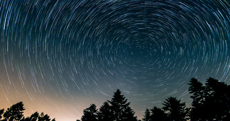 Star trails over the night sky - comet mode, Time lapse of star trail, pine trees in the foreground, Avala, Belgrade, Serbia. The night sky is astronomically accurate. - Powered by Adobe