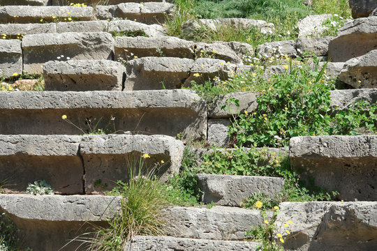 Stone benches and spring flowers in the Ancient Theatre of Delphi.