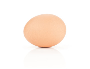 One brown chicken egg isolated on white background domestic.