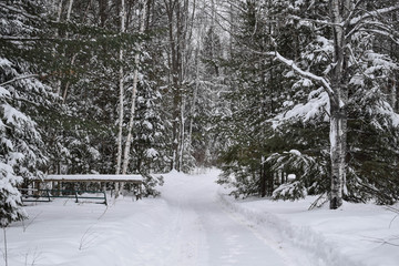 Winter's Path