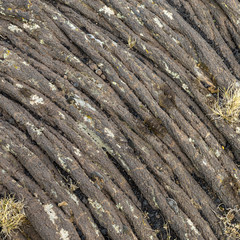 volcanic background or texture