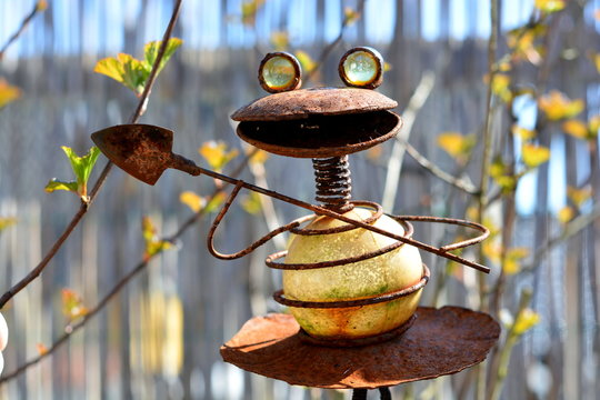 Frosch 2.1 Wetterfrosch 