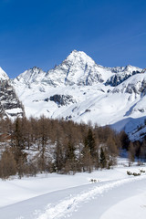 Fototapeta na wymiar Mt. Grossglockner in winter