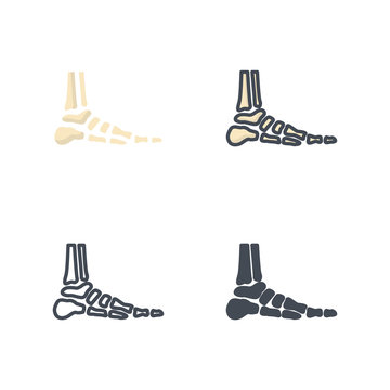 Foot human bone medical icon vector flat silhouette colored line