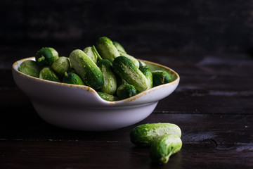 Organic food concept