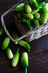 Organic food concept