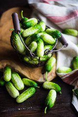 Organic food concept