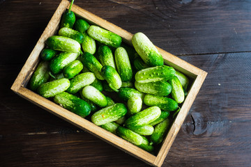 Organic food concept